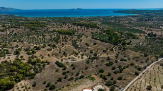 Αγροτεμάχια 22.185 τ.μ. προς πώληση, Πορτοχέλι-thumb-7