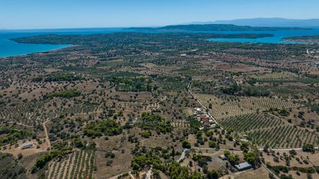 Αγροτεμάχια 22.185 τ.μ. για πώληση