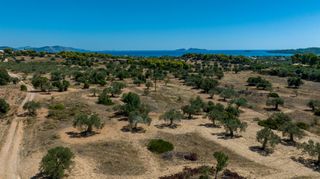 Αγροτεμάχια 22.185 τ.μ. προς πώληση, Πορτοχέλι-thumb-4