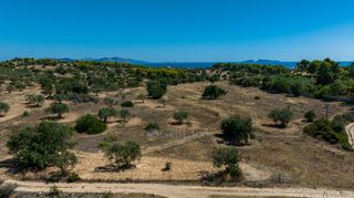 Αγροτεμάχια 22.185 τ.μ. προς πώληση, Πορτοχέλι-thumb-6