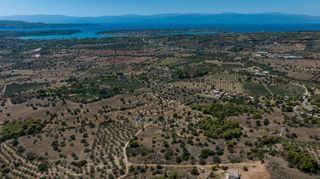 Αγροτεμάχια 22.185 τ.μ. προς πώληση, Πορτοχέλι-thumb-8