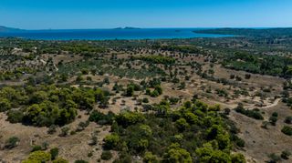 Αγροτεμάχια 22.185 τ.μ. προς πώληση, Πορτοχέλι-thumb-10