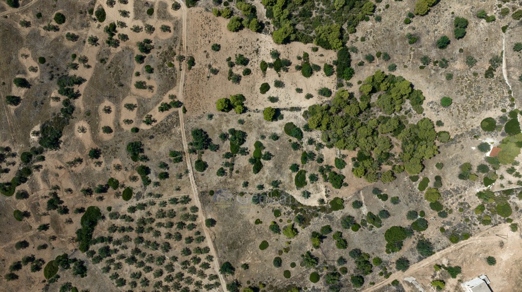 Αγροτεμάχια 22.185 τ.μ. προς πώληση, Πορτοχέλι