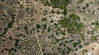 Αγροτεμάχια 22.185 τ.μ. προς πώληση, Πορτοχέλι-thumb-1