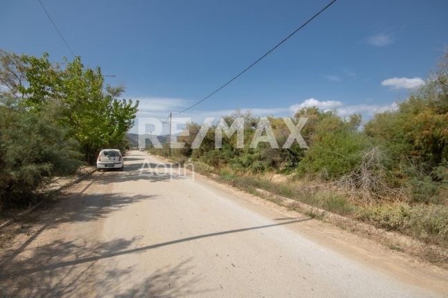 Αγροτεμάχια 3.291 τ.μ. για πώληση, Μαγνησία, Βόλος