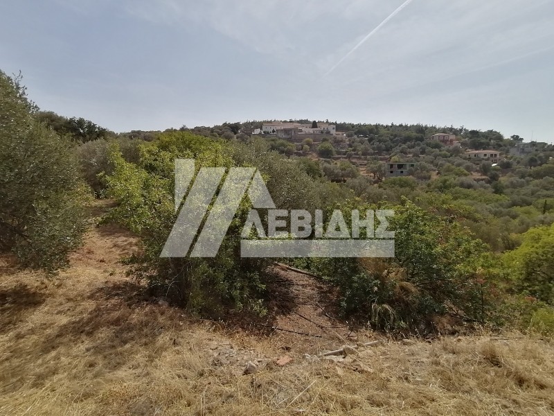 Οικόπεδο 872 τ.μ. προς πώληση, Άγιος Μηνάς Χίου