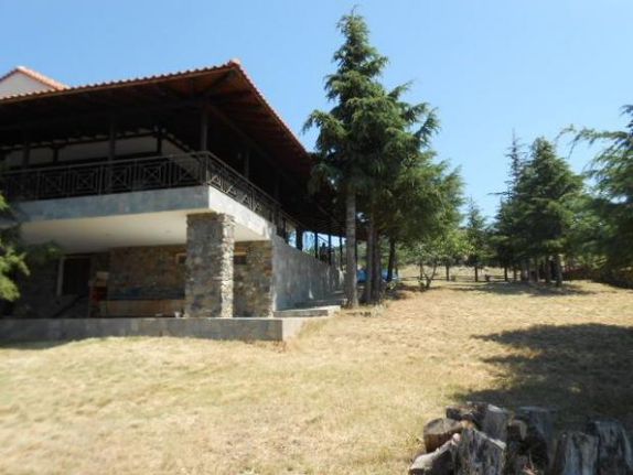 Store 300 sqm for sale, Serres Prefecture, Serres