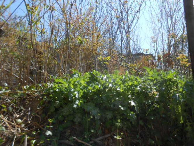 Land plot 917 sqm for sale, Serres Prefecture, Serres