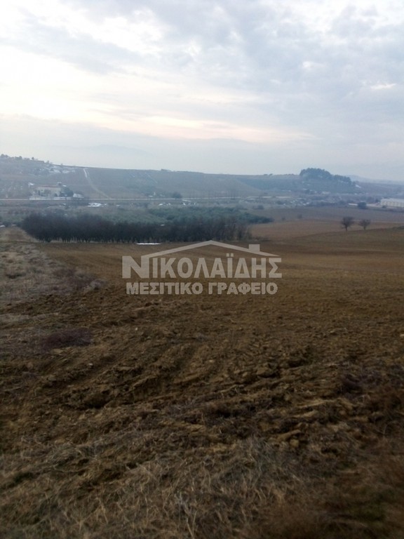 Αγροτεμάχια 6.970 τ.μ. πρός πώληση, Ν. Σερρών, Λευκώνας