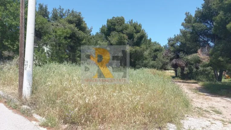 Land plot 1.577 sqm for sale, Athens - North, Melissia