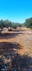 Οικόπεδο 660 τ.μ. για πώληση, Ν. Λασιθίου, Λεύκη-thumb-1