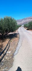Οικόπεδο 660 τ.μ. για πώληση, Ν. Λασιθίου, Λεύκη-thumb-2