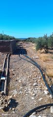 Οικόπεδο 660 τ.μ. για πώληση, Ν. Λασιθίου, Λεύκη-thumb-3