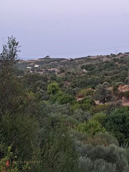 Οικόπεδο 7.000τ.μ. για πώληση-Λάππα » Επισκοπή
