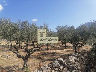 Οικόπεδο 4.123 τ.μ. προς πώληση, Ρίγκλια-thumb-5