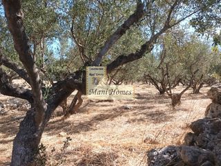 Οικόπεδο 4.123 τ.μ. προς πώληση, Ρίγκλια-thumb-3