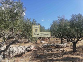 Οικόπεδο 4.123 τ.μ. προς πώληση, Ρίγκλια-thumb-4
