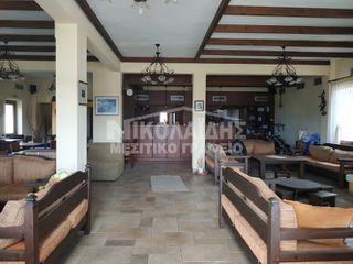Ξενοδοχείο 310 τ.μ. για πώληση, Ν. Σερρών, Πετρίτσι-thumb-4