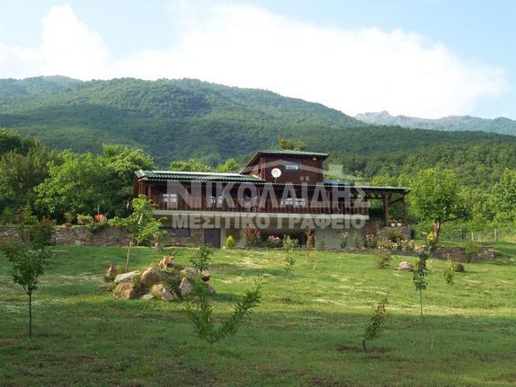 Detached home 90 sqm for sale, Serres Prefecture, Petritsi