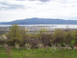 Μονοκατοικία 90 τ.μ. προς πώληση, Μανδράκι Πετριτσίου-thumb-6
