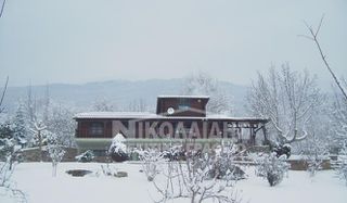 Μονοκατοικία 90 τ.μ. προς πώληση, Μανδράκι Πετριτσίου-thumb-9