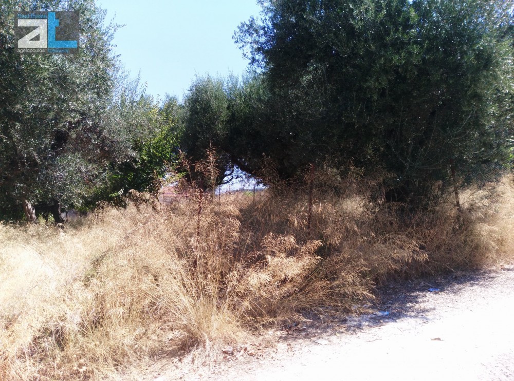 Οικόπεδο 404 τ.μ. προς πώληση, Αχαΐα, Βραχναίικα