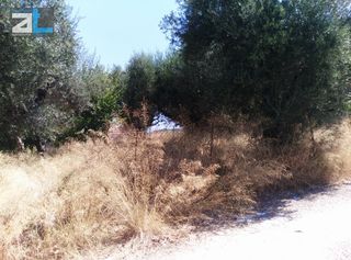 Οικόπεδο 404 τ.μ. για πώληση, Αχαΐα, Βραχναίικα-thumb-4