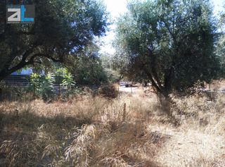 Οικόπεδο 404 τ.μ. για πώληση, Αχαΐα, Βραχναίικα-thumb-2