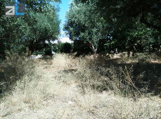 Οικόπεδο 404 τ.μ. για πώληση, Αχαΐα, Βραχναίικα-thumb-8