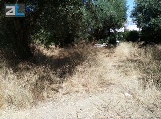 Οικόπεδο 404 τ.μ. για πώληση