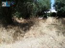 Land plot 404sqm for sale-Vrachneika » Monodendri