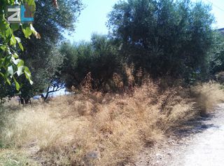 Οικόπεδο 404 τ.μ. για πώληση, Αχαΐα, Βραχναίικα-thumb-5