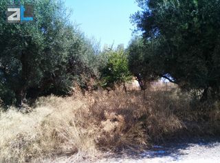 Οικόπεδο 404 τ.μ. για πώληση, Αχαΐα, Βραχναίικα-thumb-1