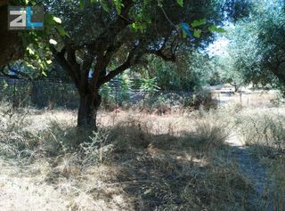 Οικόπεδο 404 τ.μ. για πώληση, Αχαΐα, Βραχναίικα-thumb-9