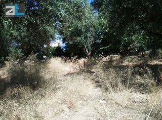 Οικόπεδο 404 τ.μ. για πώληση, Αχαΐα, Βραχναίικα-thumb-6
