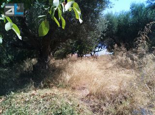 Οικόπεδο 404 τ.μ. για πώληση, Αχαΐα, Βραχναίικα-thumb-3