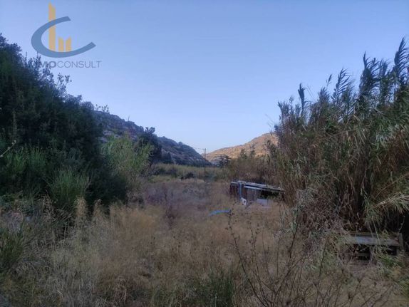 Αγροτεμάχια 6.310 τ.μ. για πώληση, Κυκλάδες, Νάξος