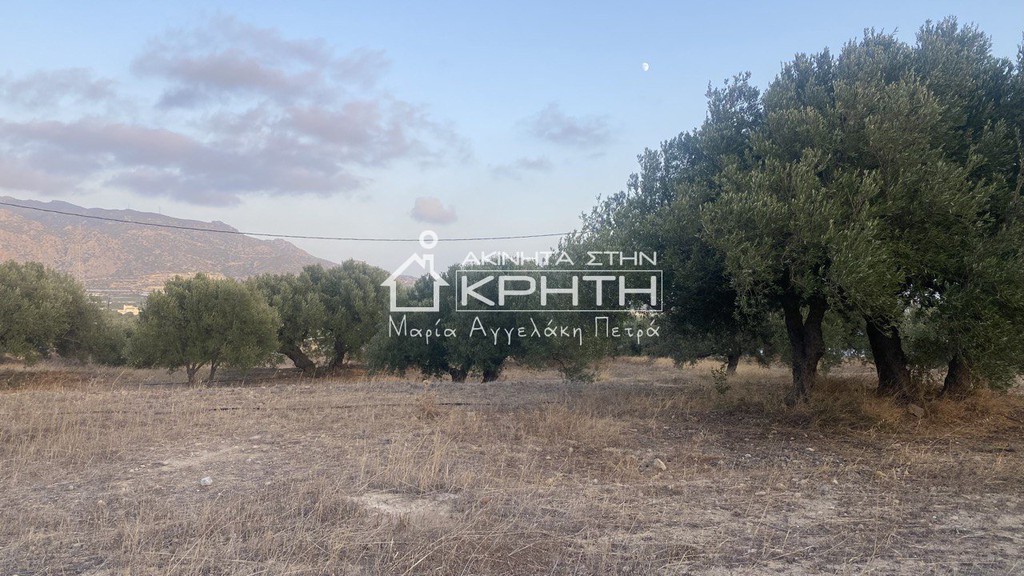 Οικόπεδο 3.740,98 τ.μ. προς πώληση, Κεντρί