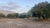 Land plot 3.750sqm for sale-Ierapetra » Kentri