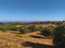 Parcel 4.000sqm for sale-Rethimno » Armenoi