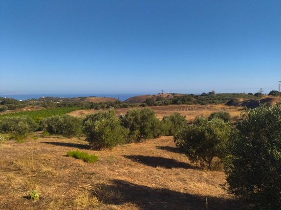Αγροτεμάχια 4.000 τ.μ. για πώληση, Ν. Ρεθύμνου, Ρέθυμνο