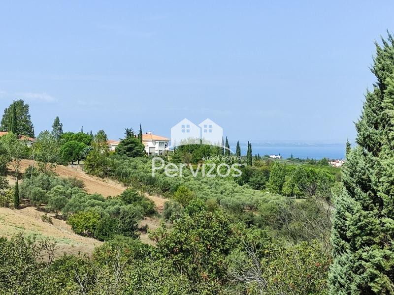 Αγροτεμάχια 4.000 τ.μ. πρός πώληση, Θεσσαλονίκη - Περιφ/Κοί Δήμοι, Θέρμη