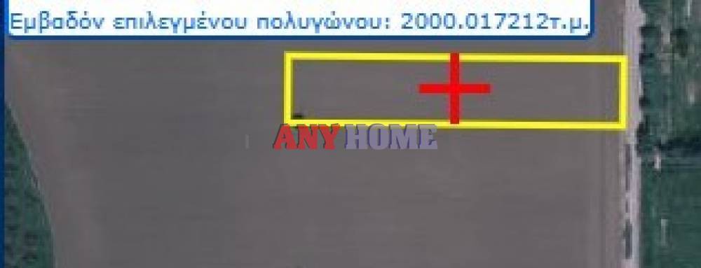 Αγροτεμάχια 12.125 τ.μ. προς πώληση, Σουρωτή
