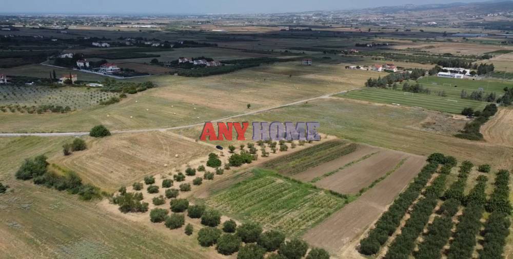 Αγροτεμάχια 12.125 τ.μ. προς πώληση, Σουρωτή