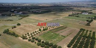 Αγροτεμάχια 12.125 τ.μ. για πώληση