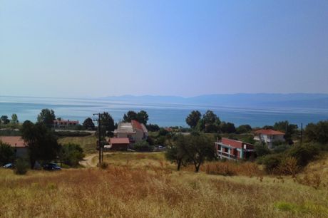 Οικόπεδο 7.000τ.μ. για πώληση-Αμφίπολη » Νέα κερδύλια