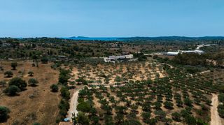 Αγροτεμάχια 13.785 τ.μ. προς πώληση, Πορτοχέλι-thumb-7