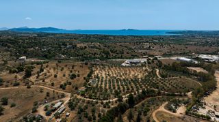 Αγροτεμάχια 13.785 τ.μ. για πώληση