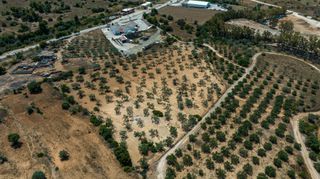Αγροτεμάχια 13.785 τ.μ. προς πώληση, Πορτοχέλι-thumb-9