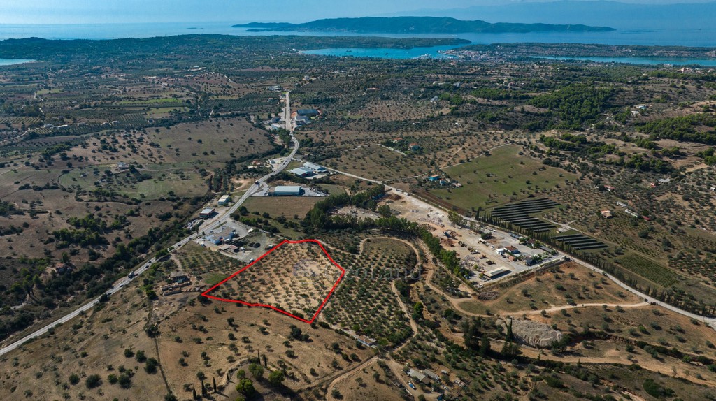 Αγροτεμάχια 13.785 τ.μ. προς πώληση, Πορτοχέλι